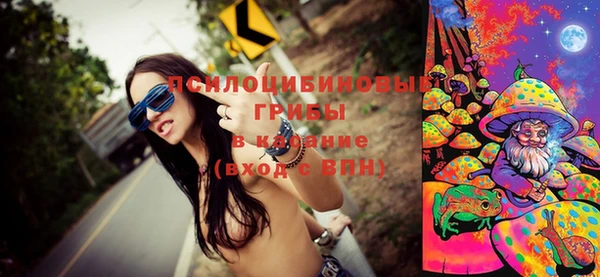 трава Михайловск