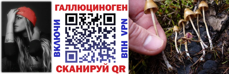 хочу наркоту  Спасск-Дальний  Псилоцибиновые грибы мицелий 