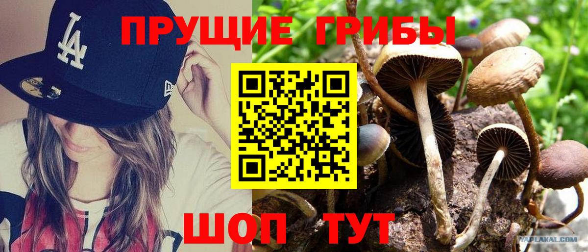 Галлюциногенные грибы мицелий Спасск-Дальний