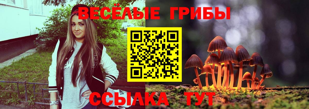 Спасск-Дальний  Галлюциногенные грибы MAGIC MUSHROOMS  Вход с VPN  Псилоцибиновые грибы прущие грибы 